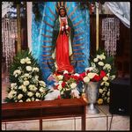 Gilberto Limon Davila - @gilbertolimondavila - Instagram