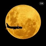 Gilberto Malavé - @lincepilot - Instagram