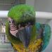 Gilberto Mata - Facebook