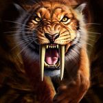 Gilberto May - @gilberto.may.5095 - Instagram