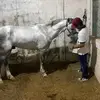 Gilberto Medina - @.gilberto7 - TikTok