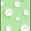 Gilberto Meza - @gilberto.meza33 - TikTok