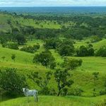 Gilberto Molina - @gilberto_molina_ - Instagram