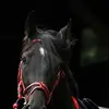 Gilberto Mora - @gilbertomora31 - TikTok