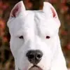 Gilberto Mora - @gilberto.mora549 - TikTok
