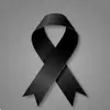 Gilberto Naranjo - @gilberto.naranjo6 - TikTok