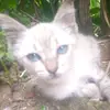 Gilberto Oropeza - @gilberto.oropeza7 - TikTok