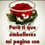 Gilberto Rosas - @gilberto.rosas.351 - Instagram