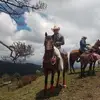 Gilberto Rosas - @gilberto.rosas88 - TikTok