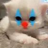 Gilberto Saenz - @gilberto.saenz5 - TikTok