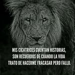 gilberto saenz castillo - @gilbertosaenzcastillo - Instagram