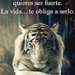 Gilberto Tapia - @gilberto.tapia.3194 - Instagram