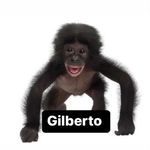 Gilberto Alamilla Trejo - @gilberto_alamilla - Instagram