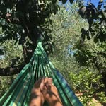 Gilda Black - @pugliola4 - Instagram
