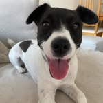 Gilda, Gildi, Gilduchi, Chiqui - @gilda_theblackjack - Instagram