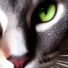denisemgildaa - @denisemgildaa - TikTok