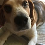 Gilda Rossi - @gilda.rossi.5492 - Instagram