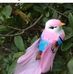 Gilda Marques Simon - Facebook