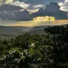 Gildardo Carrillo - @gildardo.carrillo2 - TikTok