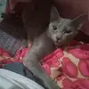 Gildardo Muñoz carrillo - @gildardo.muoz.car - TikTok