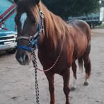 Gildardo cisneros caloca - @gildardocisneroscaloca - Instagram