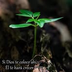 Gildardo Cuevas - Facebook