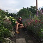 MILLER - @miller_____giles.0sv - Instagram