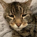 Miller - @millergiles14 - Instagram