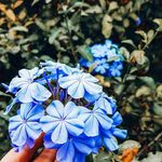 Miller - @millergileswhtdf - Instagram
