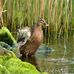 Gill Brown - Facebook