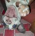 Gill Brown - Facebook