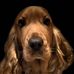 Gill Brown - Facebook
