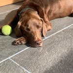 Gill Brown - @gillbrown61 - Instagram