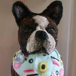 gill carter - @cakeapet - Instagram
