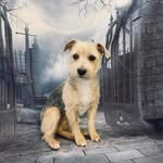 Gill Carter - @gillcarter8 - Instagram