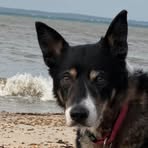 Gill Manning - Facebook