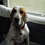 Gill Mannings - @gillmannings - Instagram