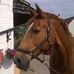 Gill Smith - Facebook