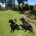 Gill Smith - Facebook
