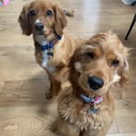 Gill Walker - @gillwalker1307 - Instagram