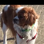 Gill Walker - @gill462 - Instagram