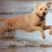 Gill Waller - Facebook