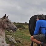 Gilles Hebert - @gilles8989 - Instagram