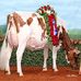 Ferme Gilles Lapointe &amp;fils - Facebook