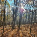 Gilles Lapointe - @lapointegilles - Instagram