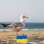 Gilles Robert - @gilles.robert.777 - Instagram