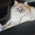 Robert Gilles - @gilles.robert.3192 - Instagram