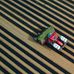 Ferme Gilles Roy et fils - Facebook