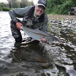 Gilles Roy - @gilles_roy_58 - Instagram