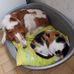 Marie-France Gilles Roy - Facebook